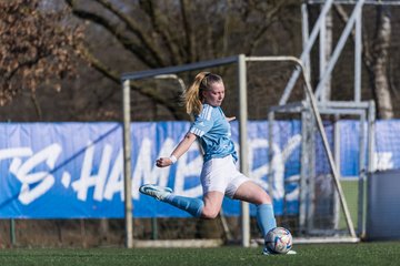 Bild 187 - F Hamburger SV 3 - Blau-Weiss 96 : Ergebnis: 5:1
